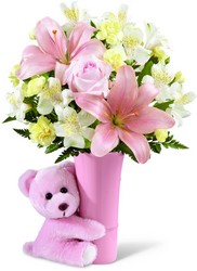 The FTD Baby Girl Big Hug Bouquet from Monrovia Floral in Monrovia, CA